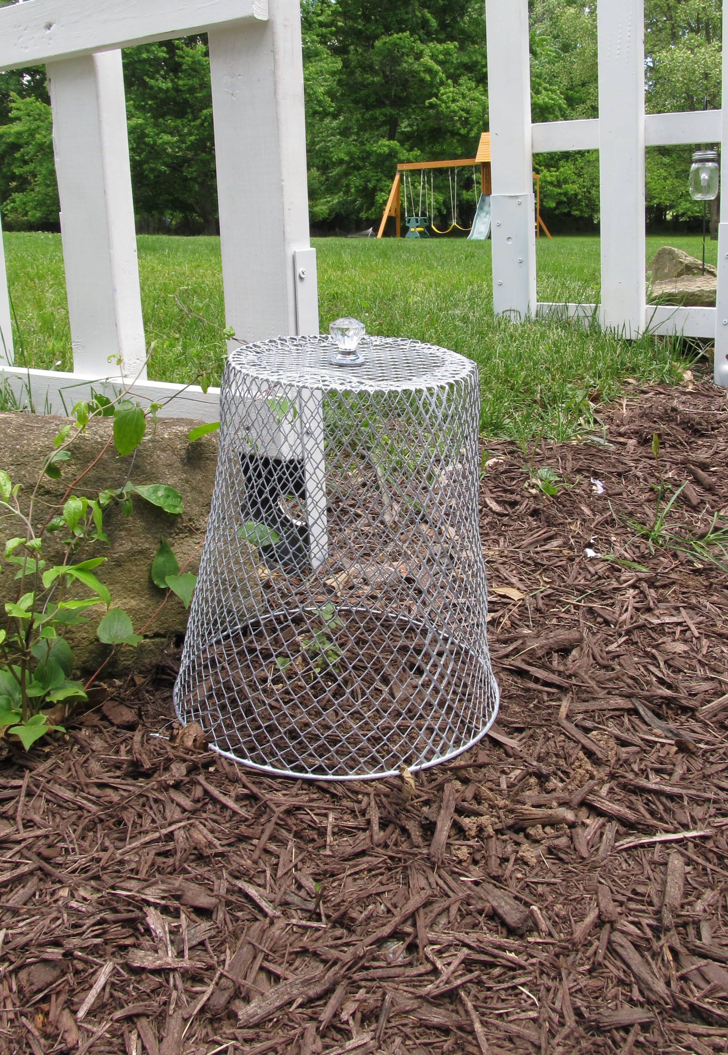 Garden Cloche Dollar Store Diy How To Keep Pests Away From Young