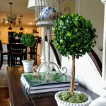Boxwood topiary decor in living room