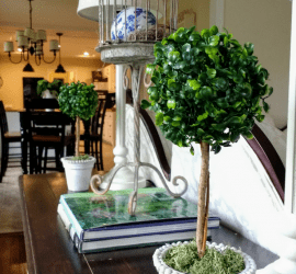 Boxwood topiary decor in living room