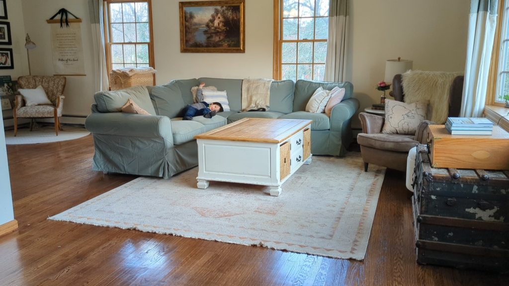 toy storage in living room, ideas for hiding toys