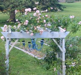 Solar chandelier under rose arbor