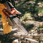 what to look for in a cordless battery chainsaw