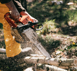 what to look for in a cordless battery chainsaw