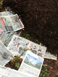 Natural weed control with newspaper