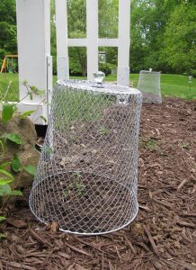 The finished garden cloche