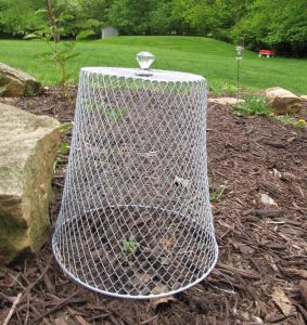 Diy Garden cloche with a trashcan