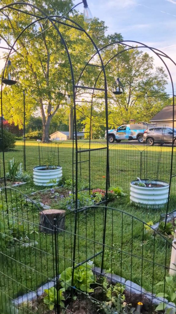 Deer proofing plants in the garden with layered and simple strategies.